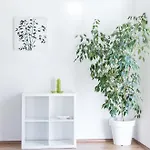 Tonka Centar Apartman *
