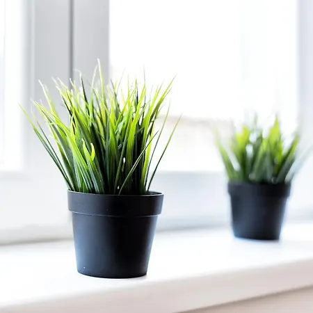 Apartment Tonka Centar