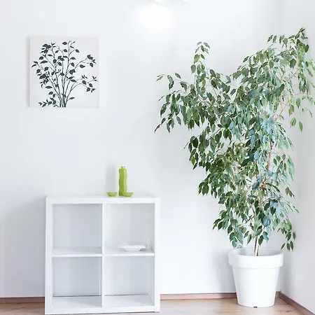 Tonka Centar Apartment *