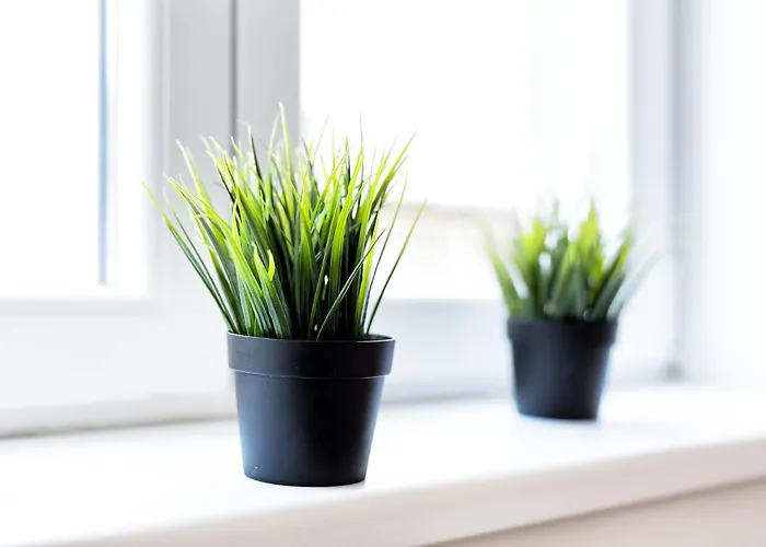 Lejlighed Tonka Centar