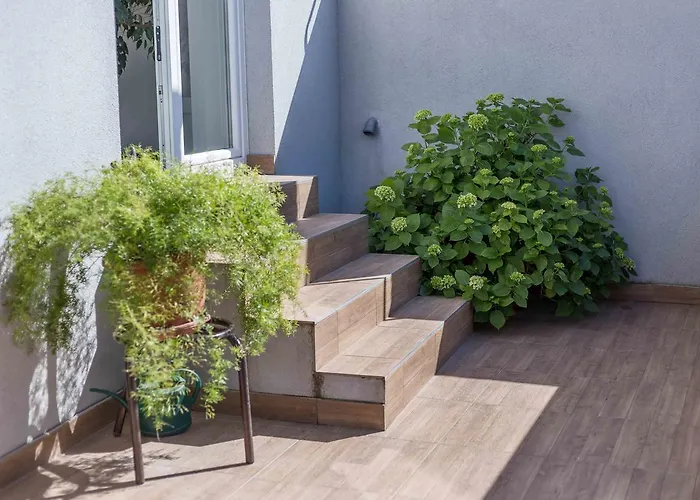 Lejlighed Tonka Centar *