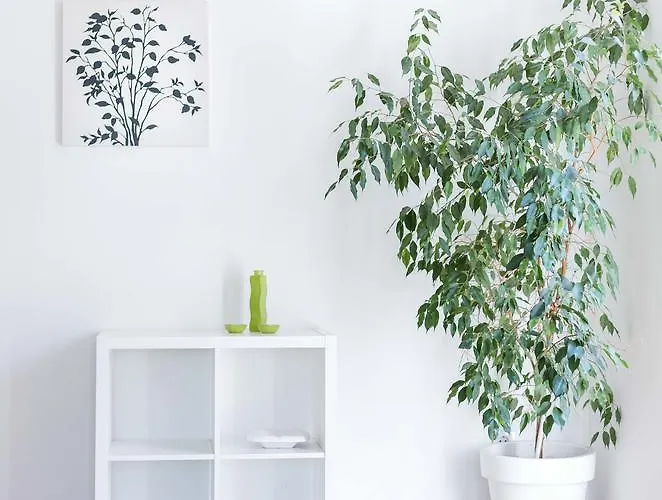 Tonka Centar Lejlighed *